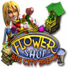 Lade das Flash-Spiel Flower Shop: Big City Break kostenlos runter