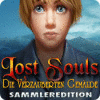 Lade das Flash-Spiel Lost Souls: Die verzauberten Gemälde Sammleredition kostenlos runter