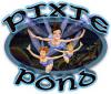 Lade das Flash-Spiel Pixie Pond kostenlos runter