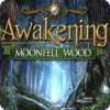 Lade das Flash-Spiel Awakening: Moonfell Wood kostenlos runter