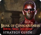 Lade das Flash-Spiel Brink of Consciousness: Dorian Gray Syndrome Strategy Guide kostenlos runter