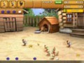 Free download Chicken Chase screenshot