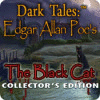 Lade das Flash-Spiel Dark Tales: Edgar Allan Poe's The Black Cat Collector's Edition kostenlos runter