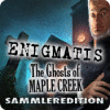 Lade das Flash-Spiel Enigmatis: Die Seelen von Maple Creek Sammleredition kostenlos runter