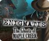 Lade das Flash-Spiel Enigmatis: The Ghosts of Maple Creek kostenlos runter