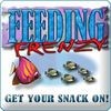 Lade das Flash-Spiel Feeding Frenzy kostenlos runter