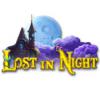 Lade das Flash-Spiel Lost in Night kostenlos runter