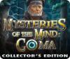 Lade das Flash-Spiel Mysteries of the Mind: Coma Collector's Edition kostenlos runter