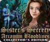 Lade das Flash-Spiel Sister's Secrecy: Arcanum Bloodlines Collector's Edition kostenlos runter