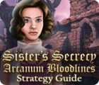 Lade das Flash-Spiel Sister's Secrecy: Arcanum Bloodlines Strategy Guide kostenlos runter